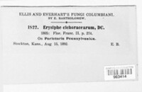 Image Associated With the Occurence